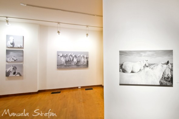 White-Power and Grace at Art Square Gallery