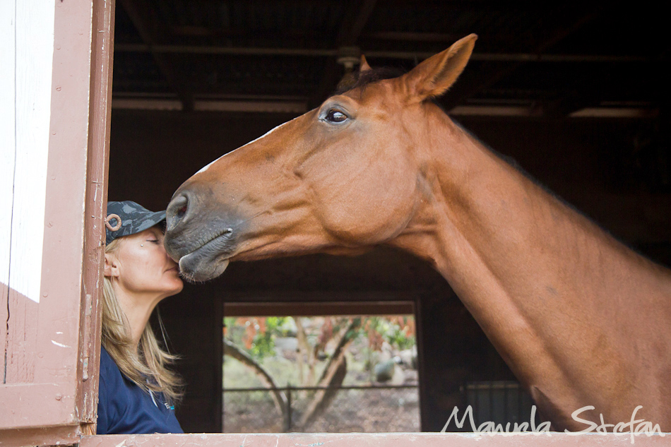 Jane Wesson and horse Zazou