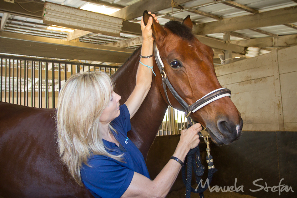 Jane Wesson of Equine Pacifica photo