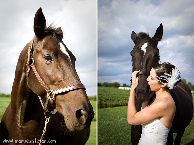 Bride and horse photo