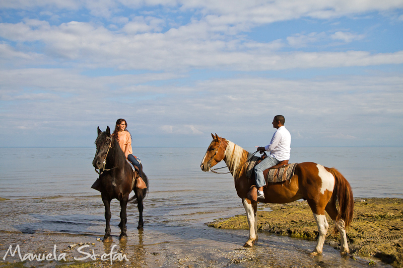 Engagement photos at Horse Play Niagara