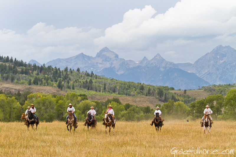 Wranglers riding at the Gro Ventre River Ranch