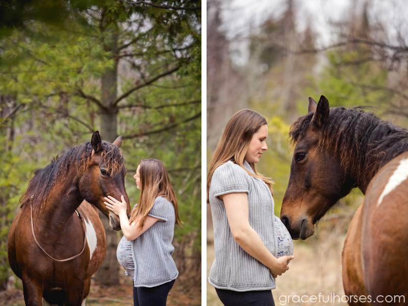 Equine maternity photographer