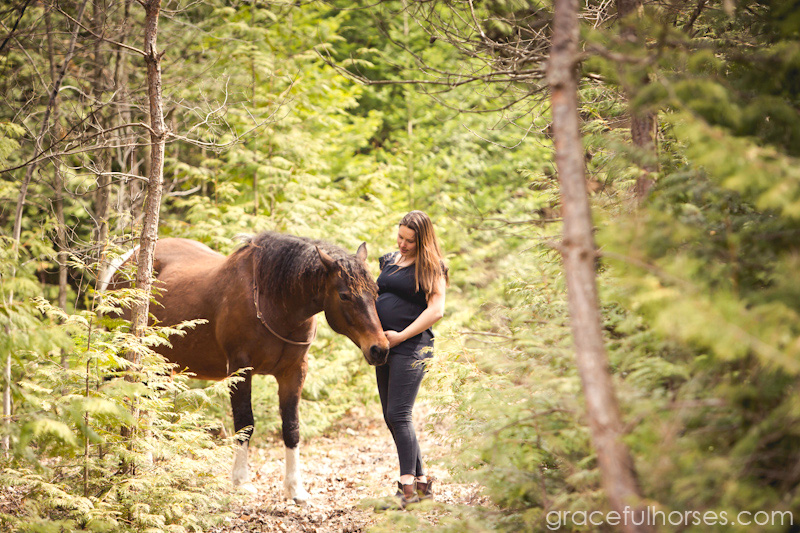 Equine photographer in Ontario