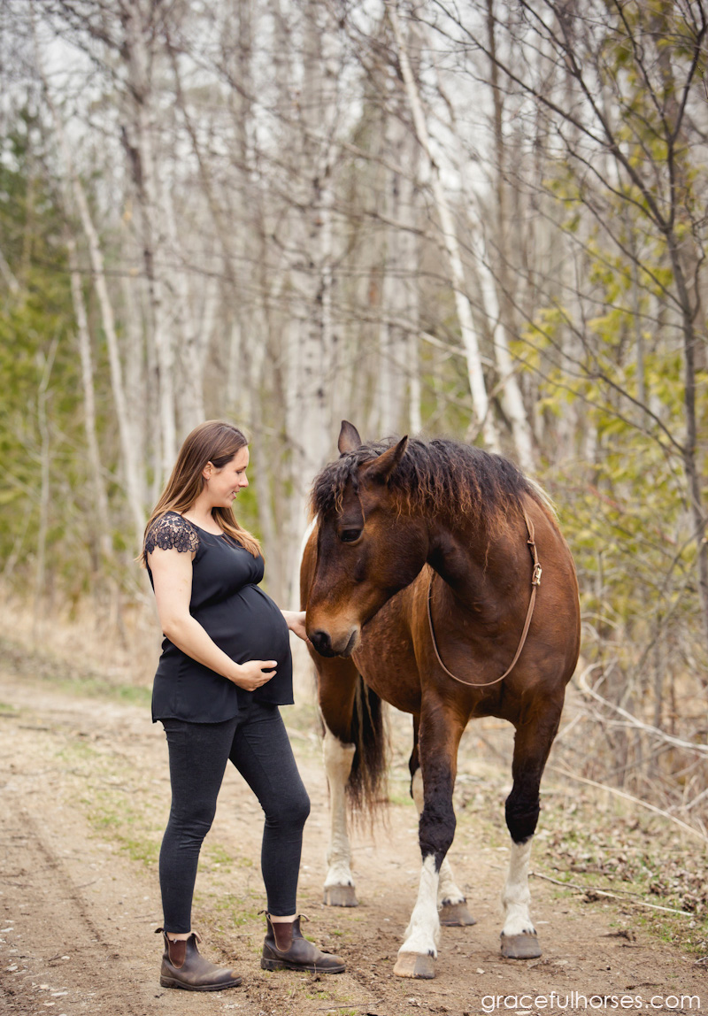 Maternity photography with horses