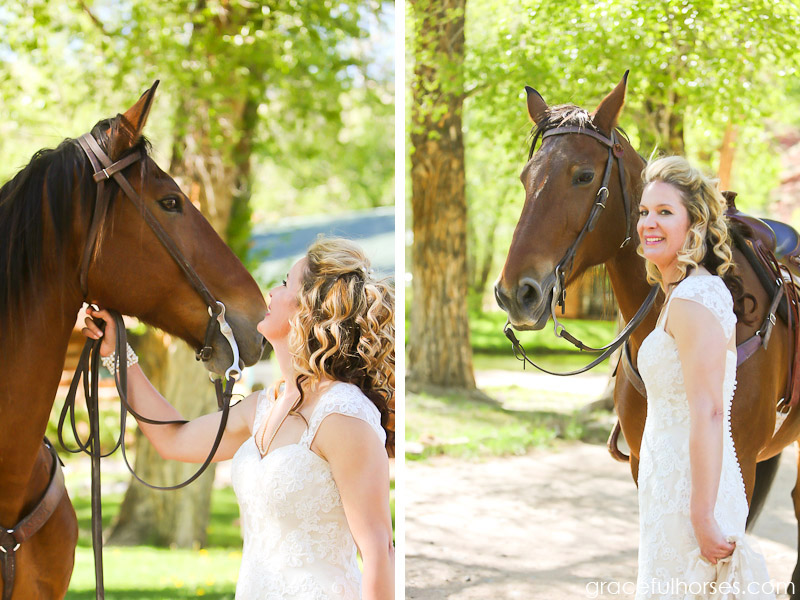 Bride and ranch horse portraits