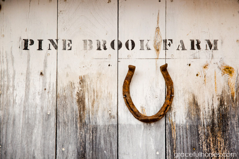 Pine Brook Farm Spooner Wisconsin