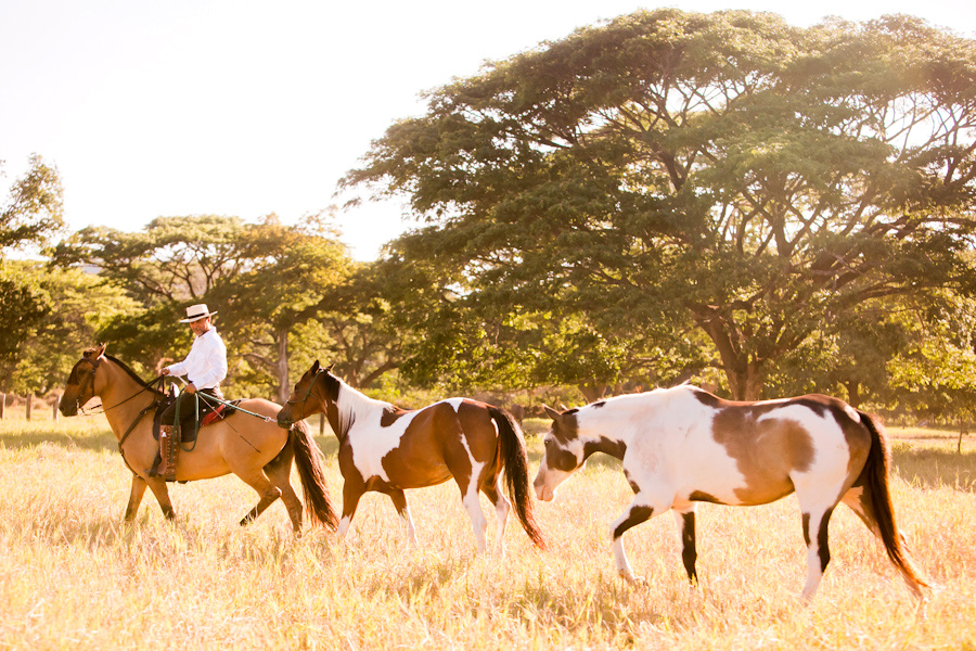Horse ranch Costa Rica