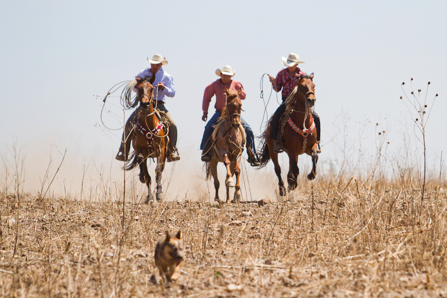 Mexican vaqueros
