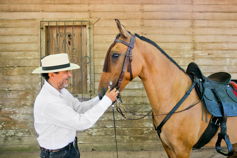Spanish horse and trainer