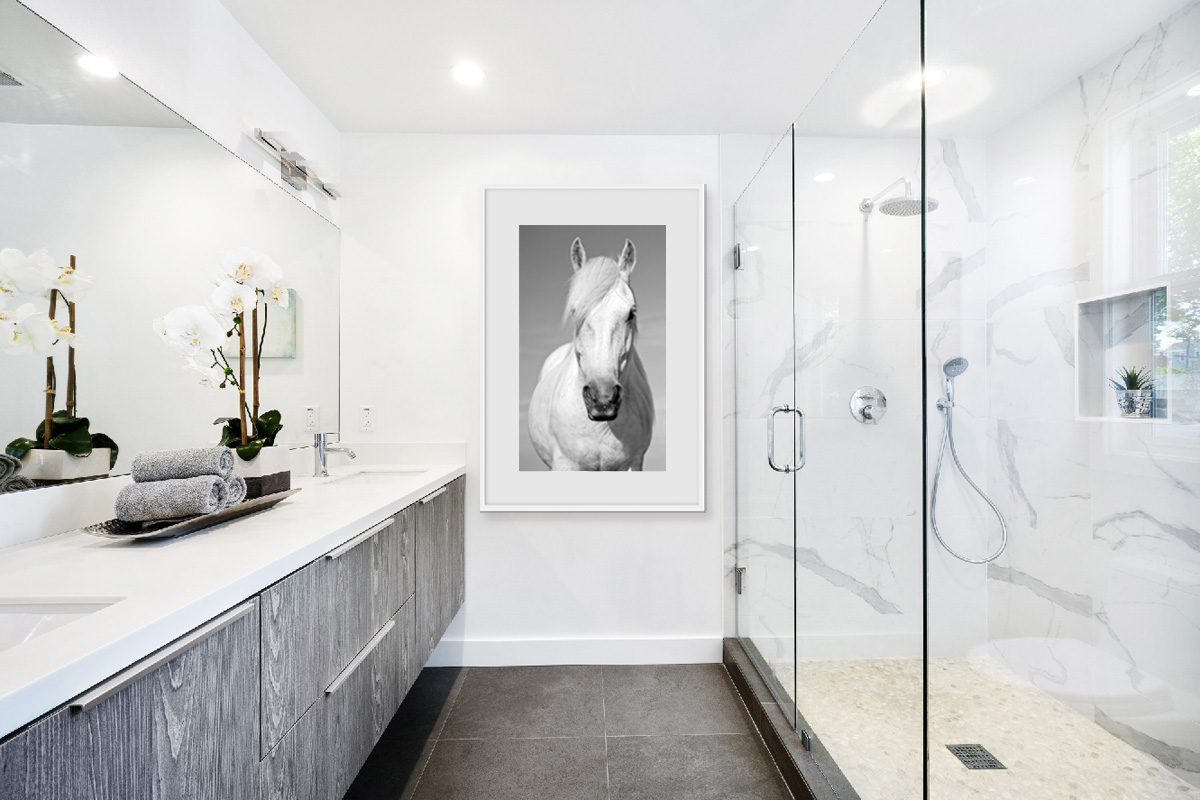 Equine wall art by Graceful Horses
