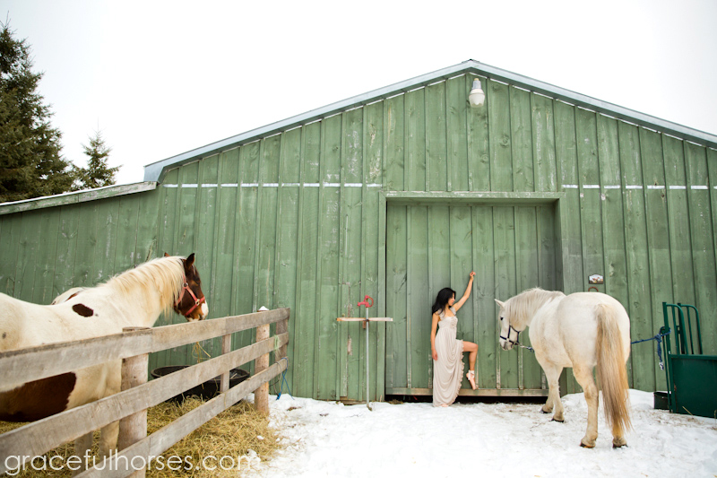 Winter farm equine photos
