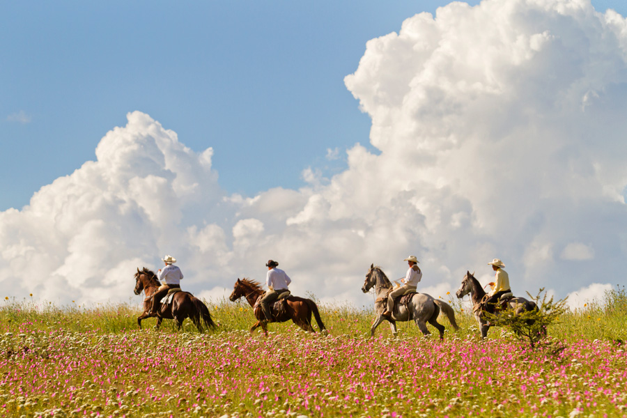 Mexican wranglers