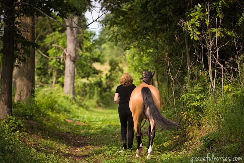 Horse and owner photography