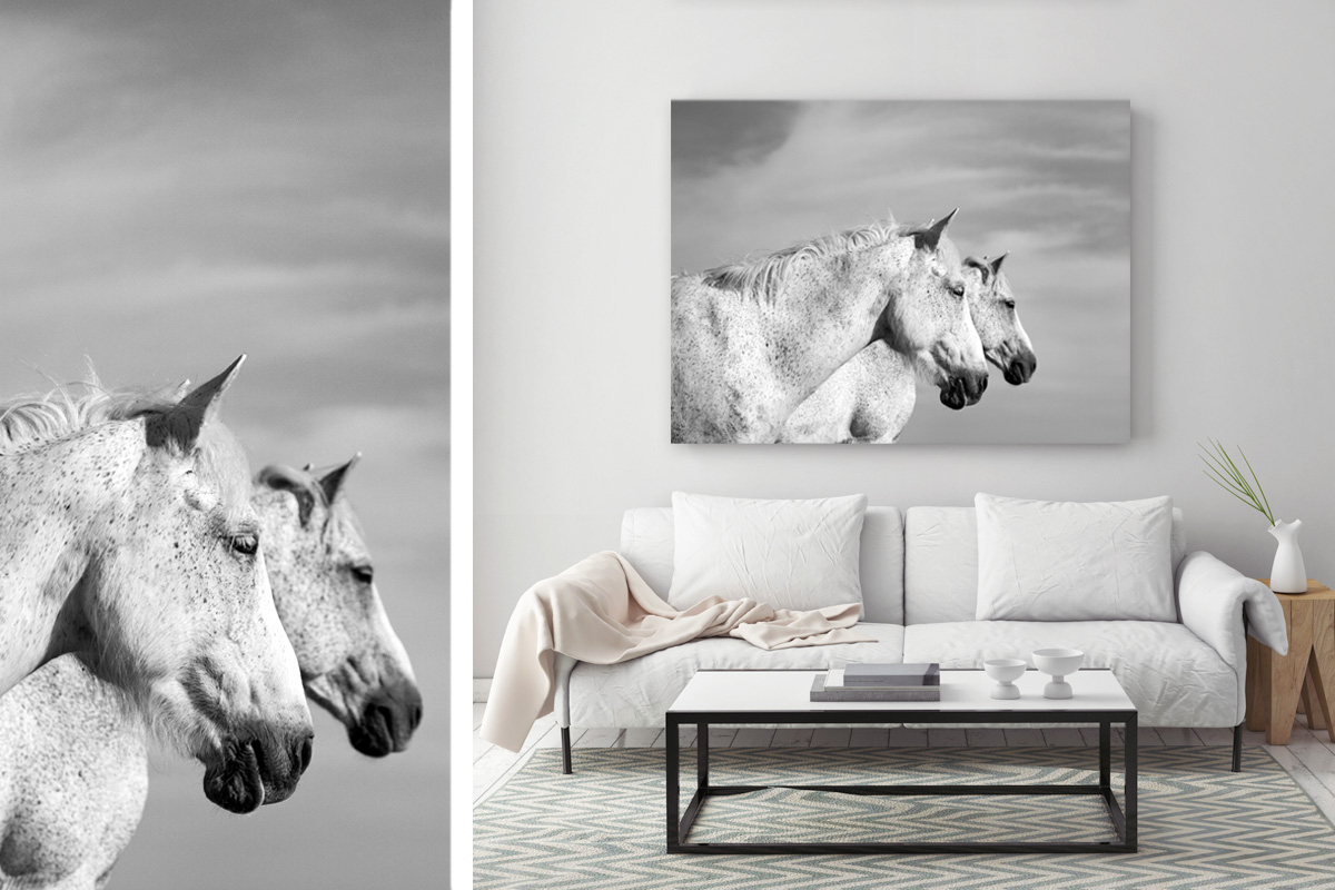 White horses wall art