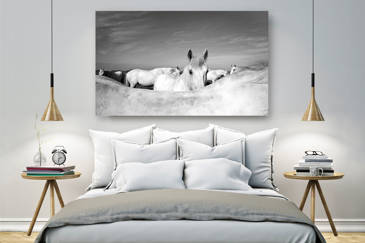 Camargue horses wall art