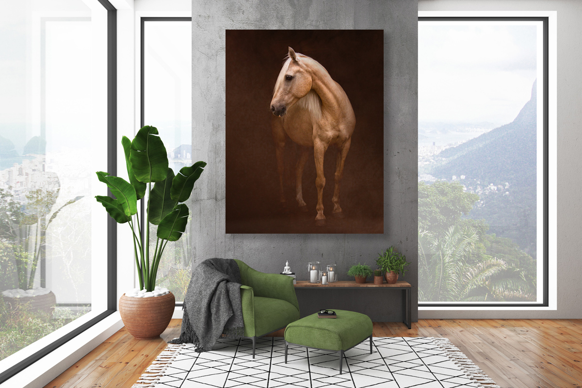 Equine wall art