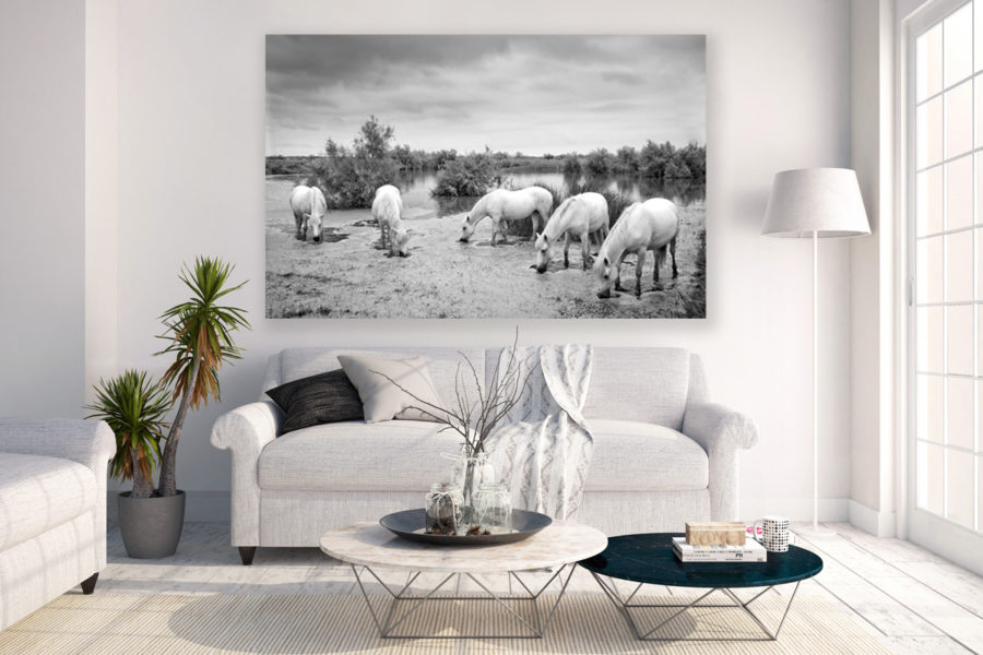 Equine wall art